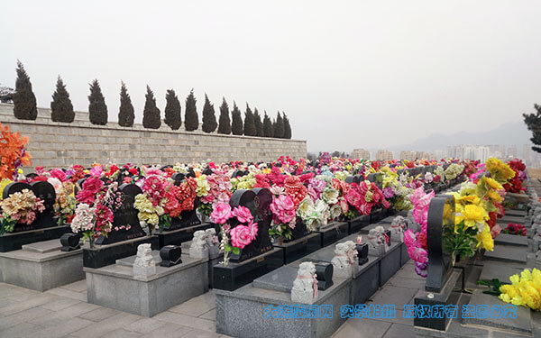 1550559231302493.jpg 微信图片_20190219145146.jpg