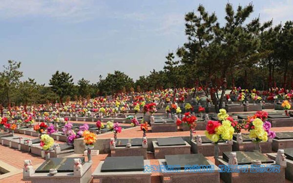 1571131663248693.jpg 2.jpg