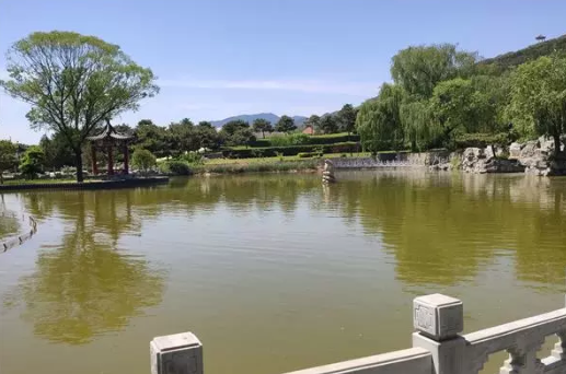 1571738265296409.png 2.png