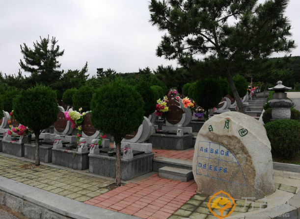 1571889242605193.png 4.png