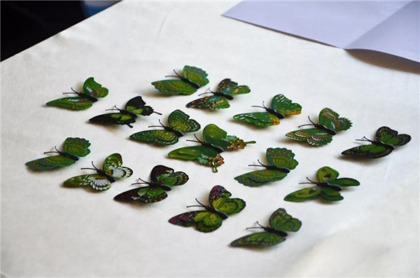 1572672006481547.jpg 27.jpg