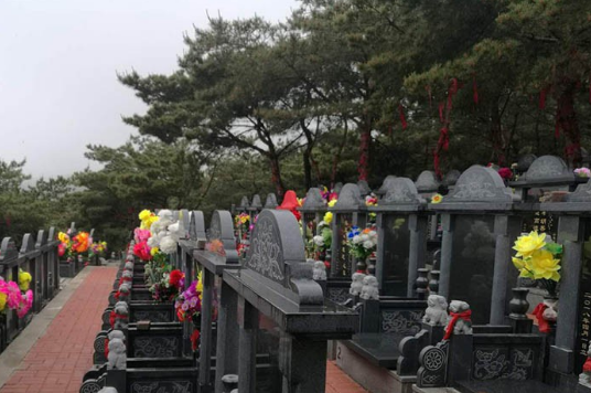 1572866464591497.png 22.png