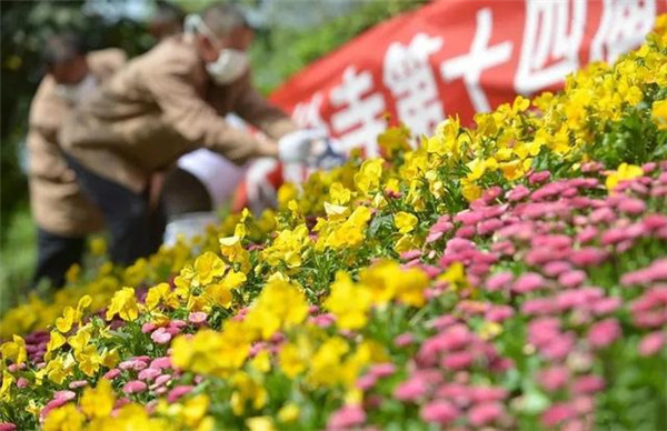 1573025582977392.jpg 1_副本.jpg