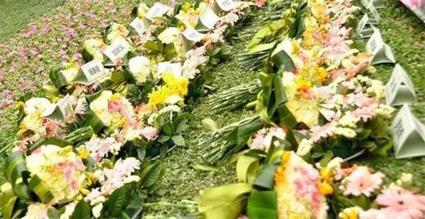 1573026368539081.jpg 11_副本.jpg