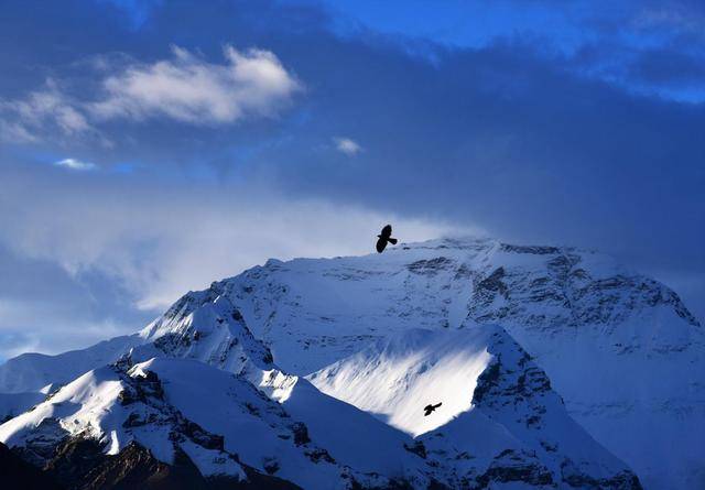 1573369753561396.jpeg 1.jpeg