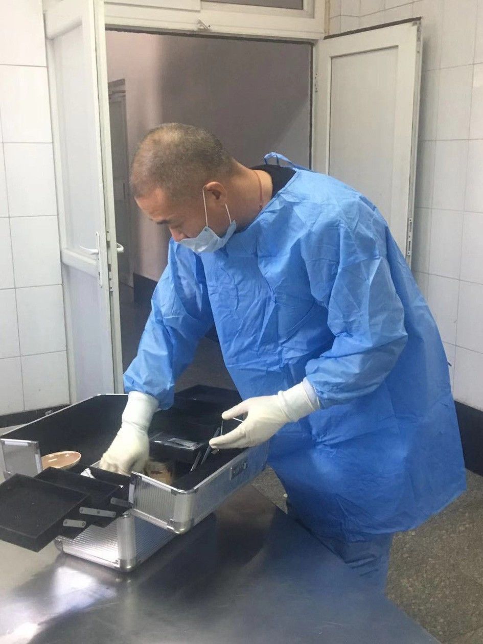 1573730199239453.jpeg 0.jpeg