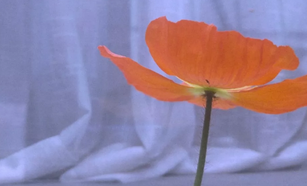 1574147970341089.png 10.png