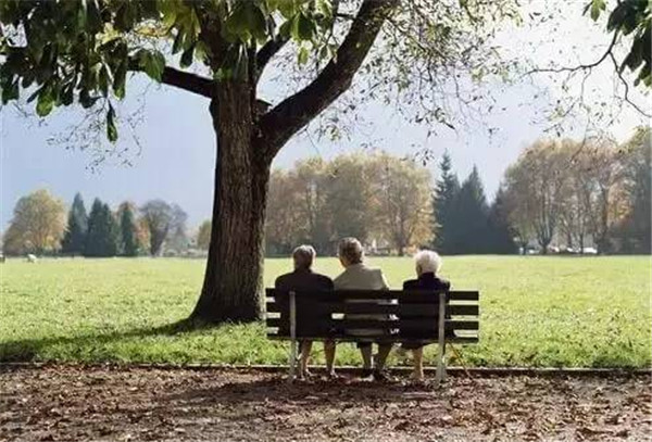 1574833473512988.jpg 6.jpg