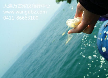 1575281318772408.jpg 33.jpg