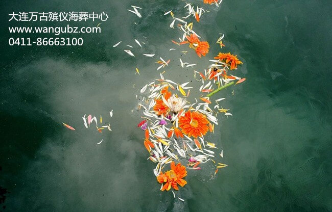 1575281311124872.jpg 22.jpg