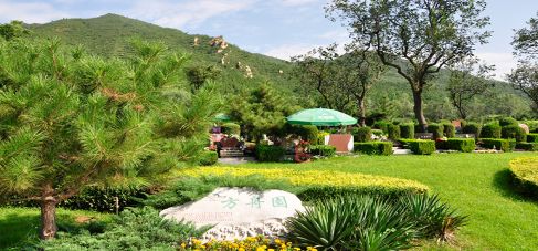 新京报谈乡村殡葬改革：不是一蹴而就的事