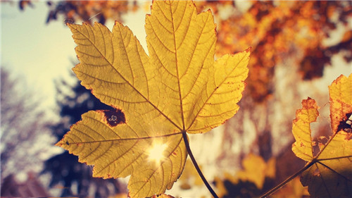 1583208895612847.jpg 11_副本1.jpg