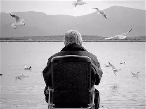 1583314228368026.jpg 111_副本1.jpg