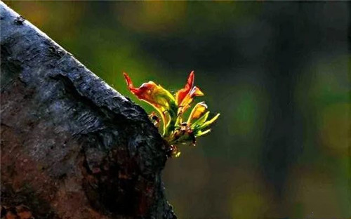 1583400019796833.jpg 44_副本1.jpg