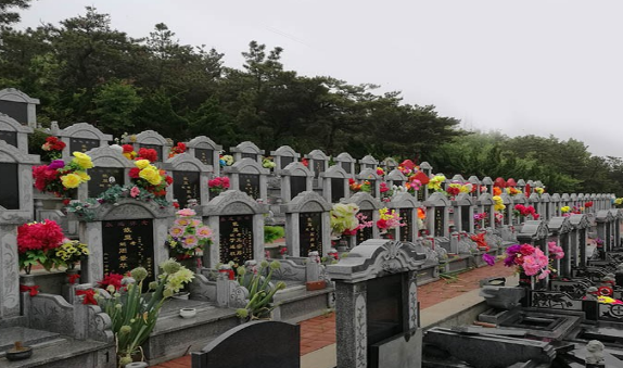 1583400257441106.png 111.png