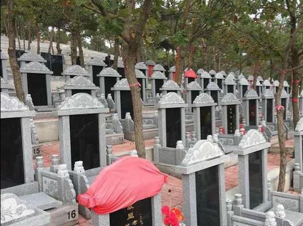 1583400359196475.png 444.png