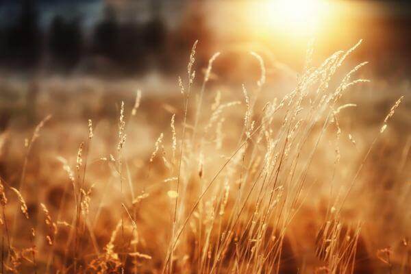 1583565975967969.jpeg 5.jpeg