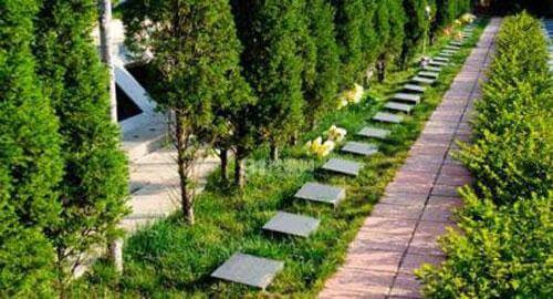 1585215053824590.jpg 10_副本.jpg