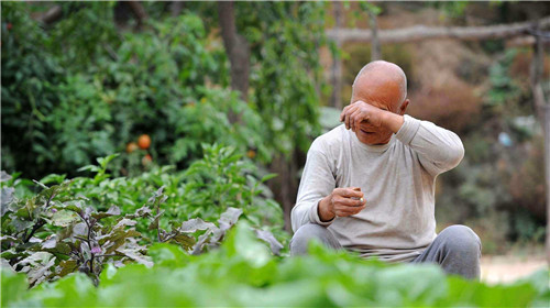 1585558157945329.jpg 11_副本1.jpg