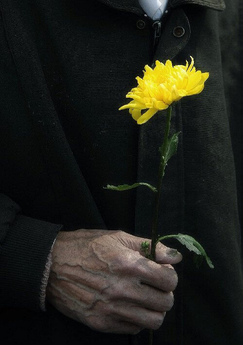 1586421771140388.jpg 44_副本1.jpg