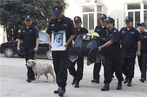 1588922344731288.jpg 16.jpg