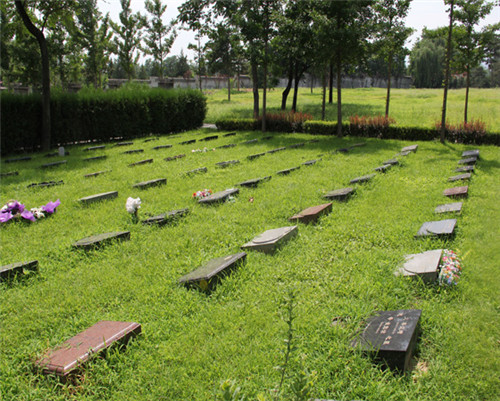 1589177628165319.jpg 00000_副本.jpg