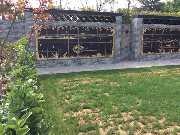 1589177671266327.jpeg 000000.jpeg