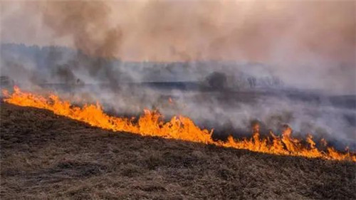 1591950317557054.jpg 10.jpg