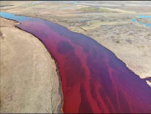 1591950369831564.jpg 12.jpg