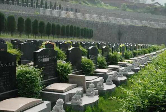 1626950571279195.png image.png