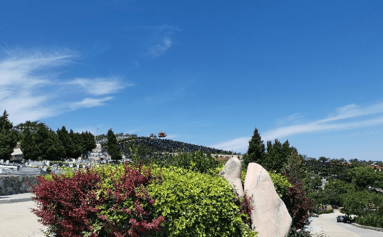 1630310850379158.png 88.png